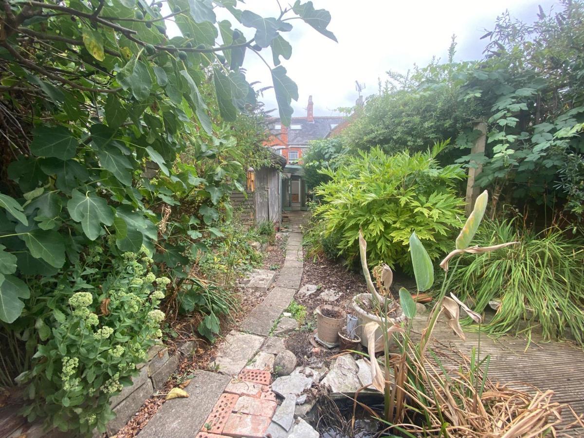 The Dragonfly Bnb, 格拉斯顿伯里 外观 照片