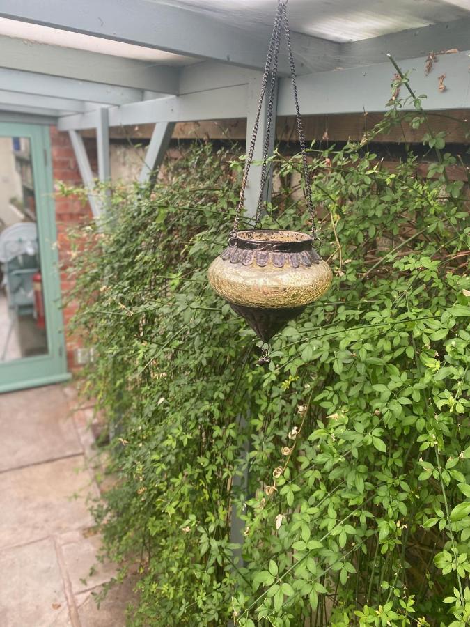 The Dragonfly Bnb, 格拉斯顿伯里 外观 照片